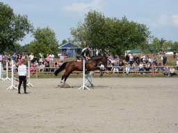 DSC_9469_web